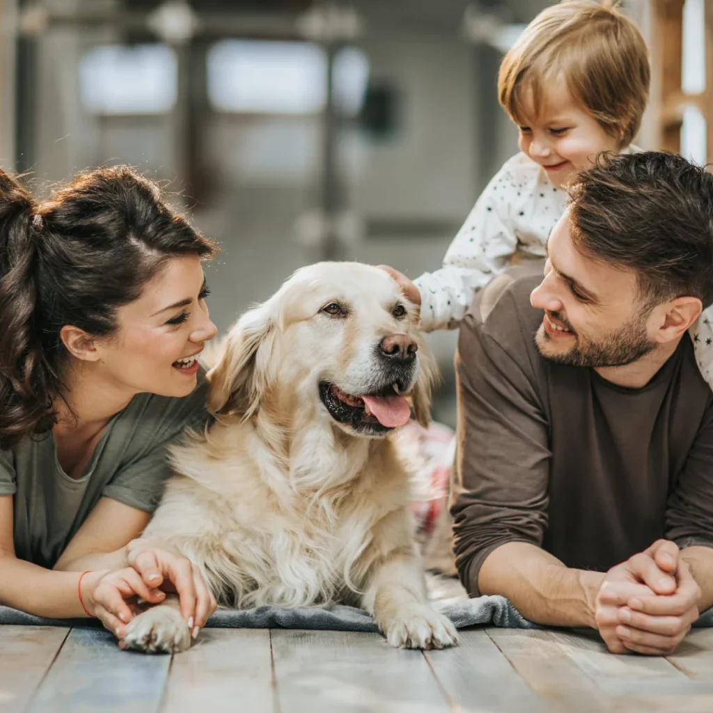 child and pet-safe cord-free automated drapes setup for modern Austin residences